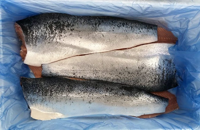 Frozen Norwegian Atlantic Salmon Fillet (with skin)