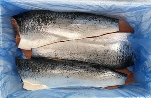
                  
                    Load image into Gallery viewer, Frozen Norwegian Atlantic Salmon Fillet (with skin)
                  
                