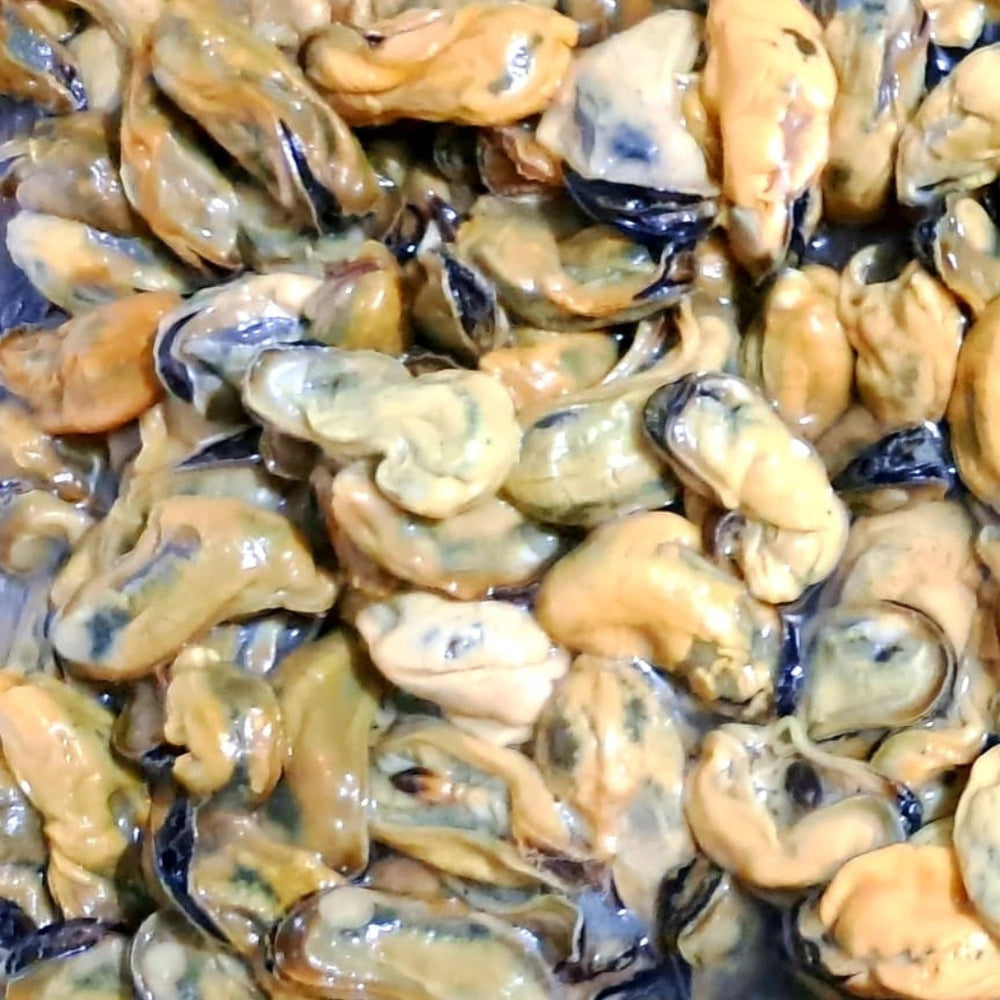 Mussels (Meat Only) - Green Indian